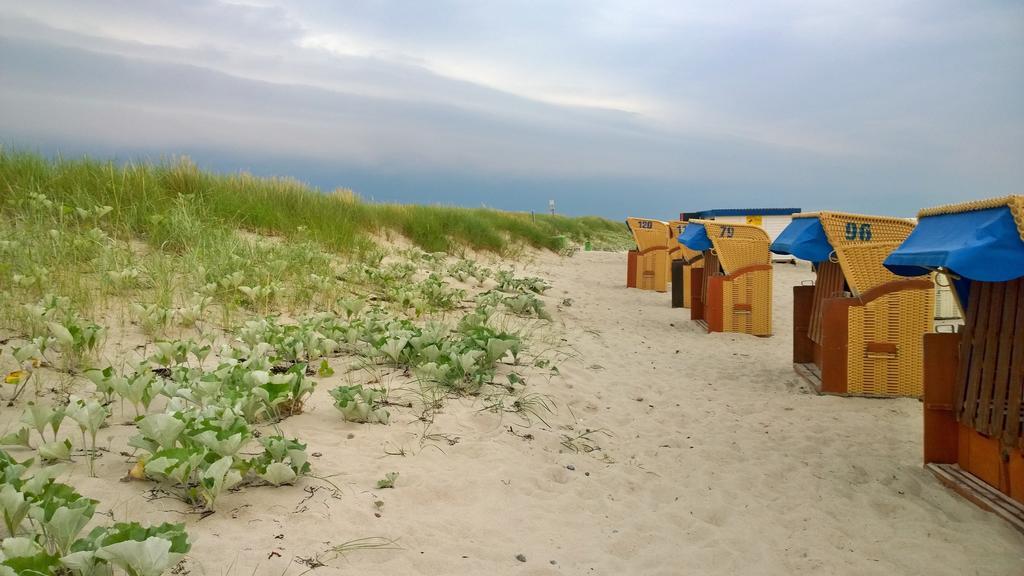 Ostsee Ferienappartement Dierhagen-Strand Екстериор снимка