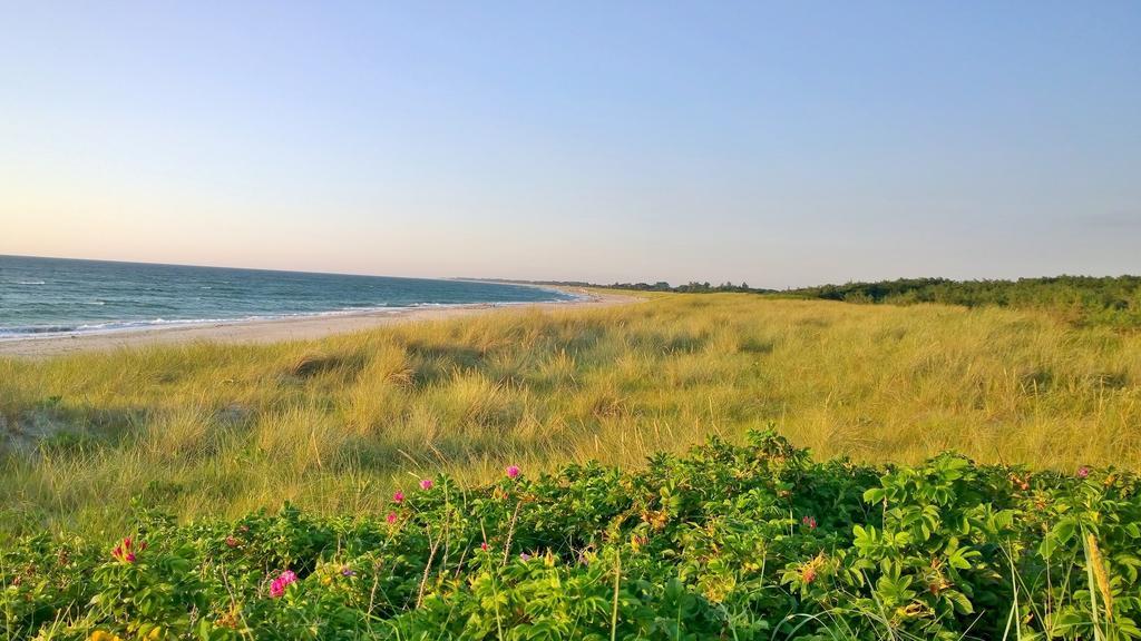Ostsee Ferienappartement Dierhagen-Strand Екстериор снимка