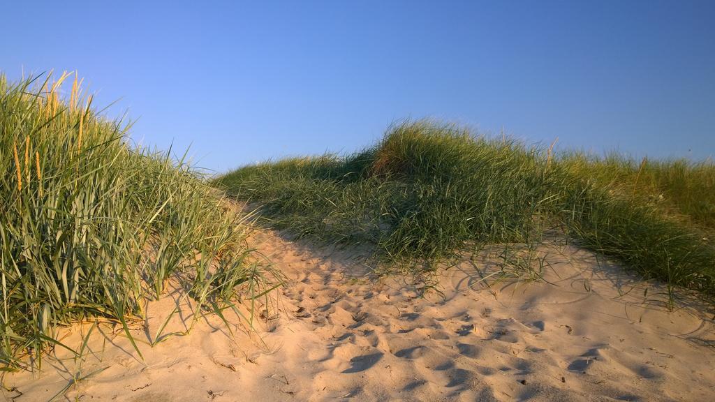 Ostsee Ferienappartement Dierhagen-Strand Екстериор снимка